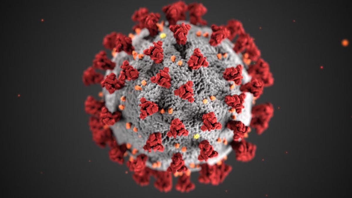 Image of the coronavirus